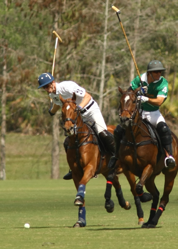 alexpacheco polo photos free booter polo tournament int polo club 5