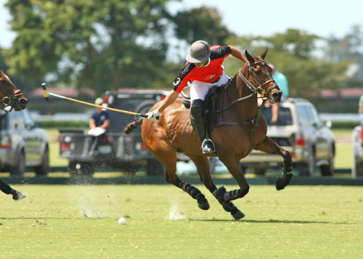 Photos-Audi vs. Alegria-Gold Cup polo top tournament usa alex pacheco 2