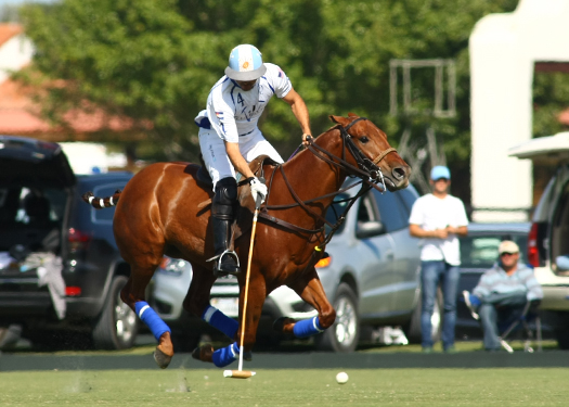 Photos-Valiente vs. Audi alex pacheco polo match polo tournament 6