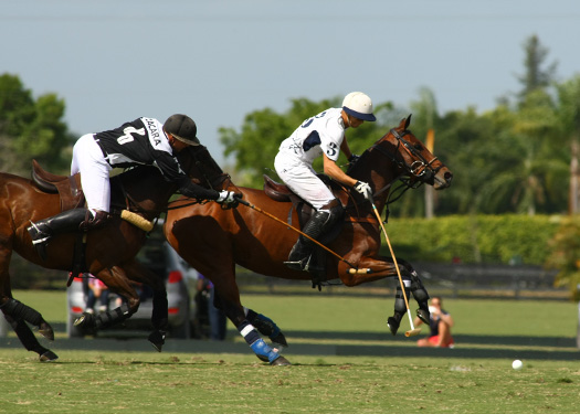 Photos-Zacara vs. Mt. Brilliant-Gold Cup