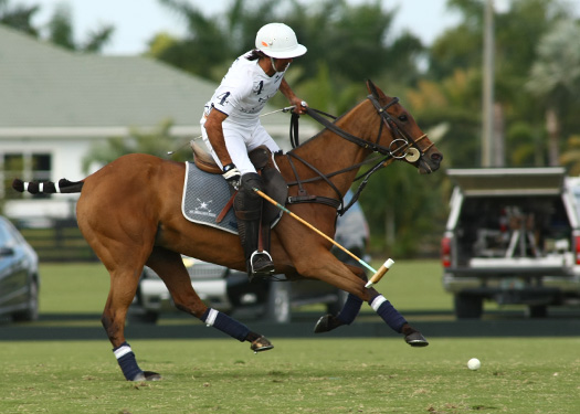 Polo tournament polo usa polo top polo match mt brilliant zacaravs 2