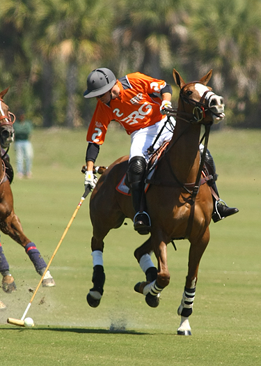 USPA Piaget Gold Cup photos 6