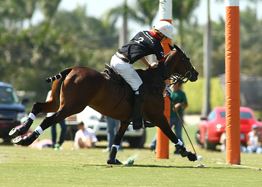 USPA Piaget Gold Cup photos zorzal mt brilliant alex pacheco polo tournament polo match 5