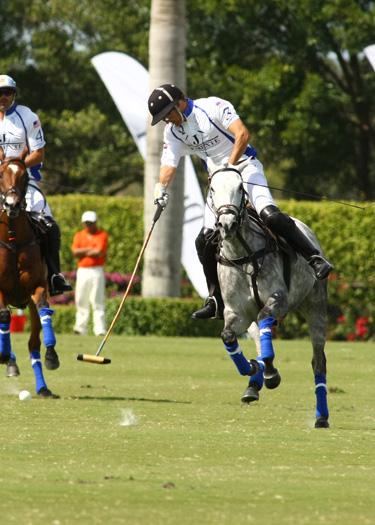 polo top tournament usa polo match alex pacheco 6