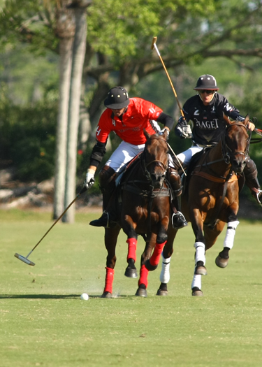 polotoppolotournamentalexpaceheco photos orchardhill polo team piaget 5