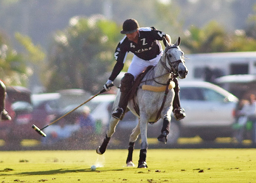 zacara coca polo teams polo gold cup ipc polo clu 4