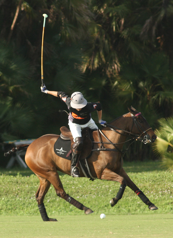 Grand Champions at PBP 12 Goal Casablanca vs Pony Express