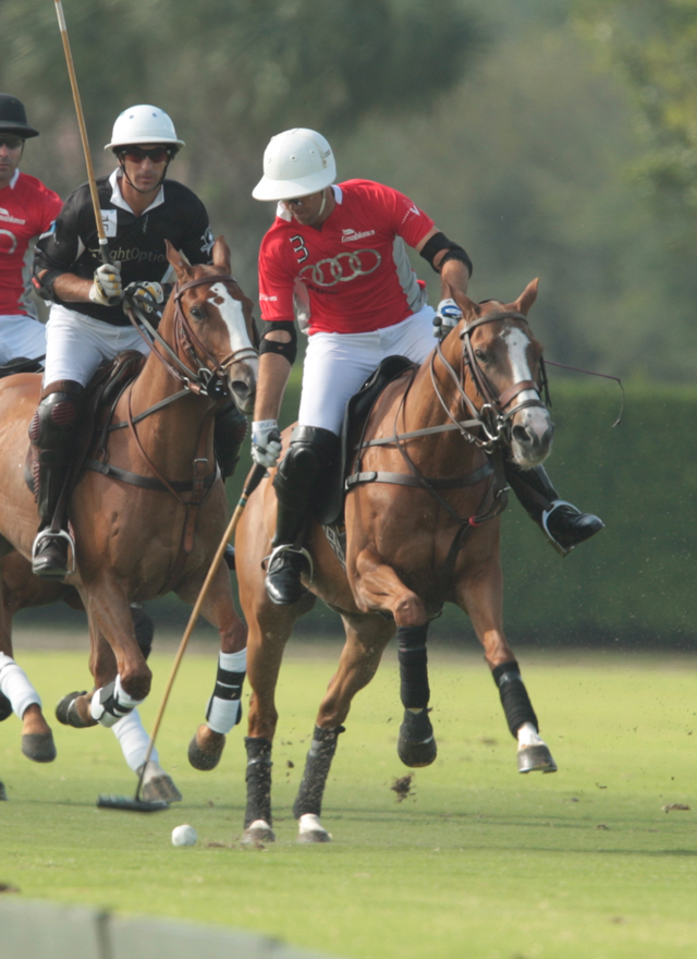  Photos-Audi 10, Flight Options 9