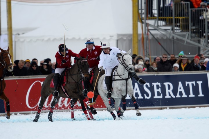 31 01 16-0651 24436170010 o