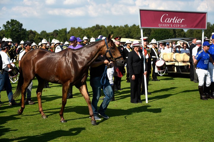 700065097 AJ 9358 D94383CA71E47D4548515A8B1288C674