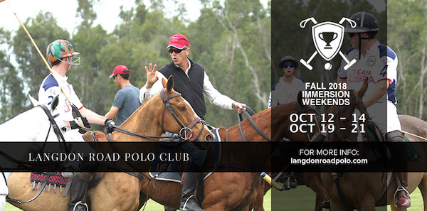 Hi There! LRP IMMERSION