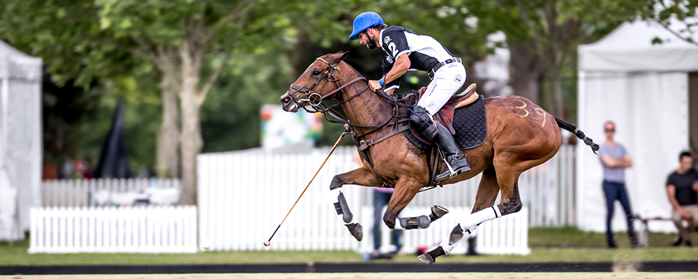 New Zealand vs England  11 – 8  World Polo Championships 