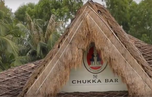 Thai Polo Haven Please Welcome